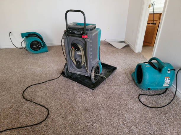 Best Flooded house restoration  in Granite, OK
