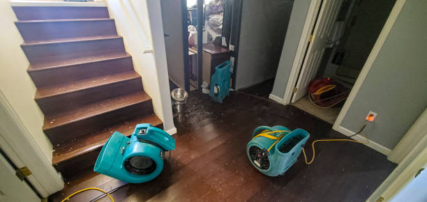 Best Water damage restoration insurance claims  in Granite, OK