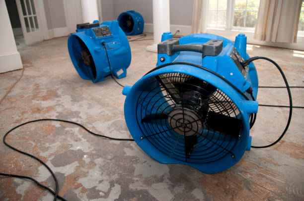 Best Carpet water damage restoration  in Granite, OK