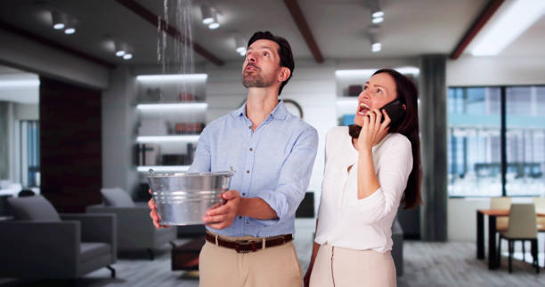 Best Water damage contractors near me  in Granite, OK