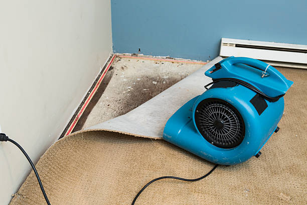Best Local water damage restoration  in Granite, OK